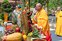 PhatDan_2014_0388